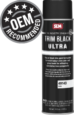 SEM-49143-teim-black-ultra-aerosol
